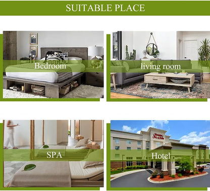 Aromatherapy Essential Oils Set, 100% Pure & Therapeutic Grade Tea Tree Essential Oils Scent Set for Diffuser, Humidifier, Massage, 2 * 10Ml Tea Tree Aromatherapy Essential Oils Fragrance Oils Sets