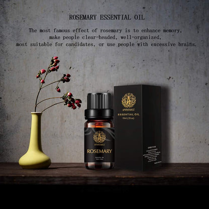 Aromatherapy Essential Oils Set, 100% Pure & Therapeutic Grade Rosemary Essential Oils Scent Kit, 2 * 10Ml Rosemary Aromatherapy Essential Oils Fragrance Oils Sets for Diffuser, Humidifier, Massage