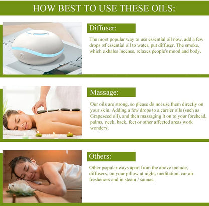 Aromatherapy Essential Oils Set, 100% Pure & Therapeutic Grade Tea Tree Essential Oils Scent Set for Diffuser, Humidifier, Massage, 2 * 10Ml Tea Tree Aromatherapy Essential Oils Fragrance Oils Sets