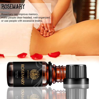 Aromatherapy Essential Oils Set, 100% Pure & Therapeutic Grade Rosemary Essential Oils Scent Kit, 2 * 10Ml Rosemary Aromatherapy Essential Oils Fragrance Oils Sets for Diffuser, Humidifier, Massage